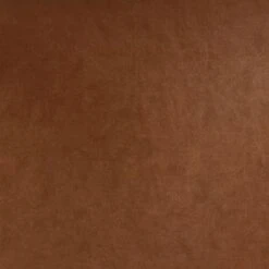 2pk Bowden Dining Chair With Arms Caramel Faux Leather - Project 62™ -Cheap Project 62 Store GUEST 02f52629 0188 4088 8b4c 5ef15f70b457