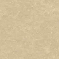 2pk Bowden Faux Leather And Metal Dining Chairs Natural - Project 62™ 8 2pk Bowden Faux Leather And Metal Dining Chairs Natural - Project 62™ -Cheap Project 62 Store GUEST 0d6e1b42 49a9 4398 915f e3357eb3f975