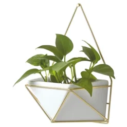Succulent Wall Geometric Hanging White/Gold - Project 62™ -Cheap Project 62 Store GUEST 2836534e daff 4fb8 8ad7 0f482e939ebb