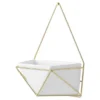 Succulent Wall Geometric Hanging White/Gold - Project 62™