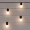 10ct Incandescent Outdoor String Lights G40 Frosted White Bulbs Black Collar - Project 62™